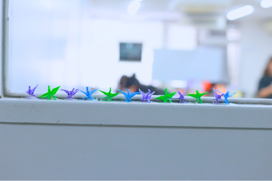 教室に飾られていた一列に並ぶカラフルなダンシング鶴の写真